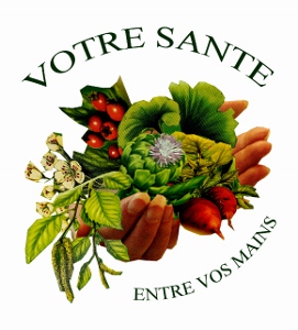logo_officiel_votre_sant_579x640_271x300